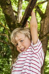 Happy little boy climbing on a tree - TCF005041