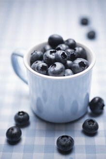 Blueberries in a cup - CZF000262