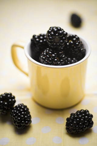 Blackberries in a cup stock photo