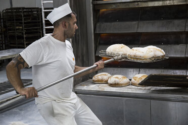 Bäcker nimmt frisch gebackenes Brot aus dem Ofen einer Bäckerei - ABZF000907