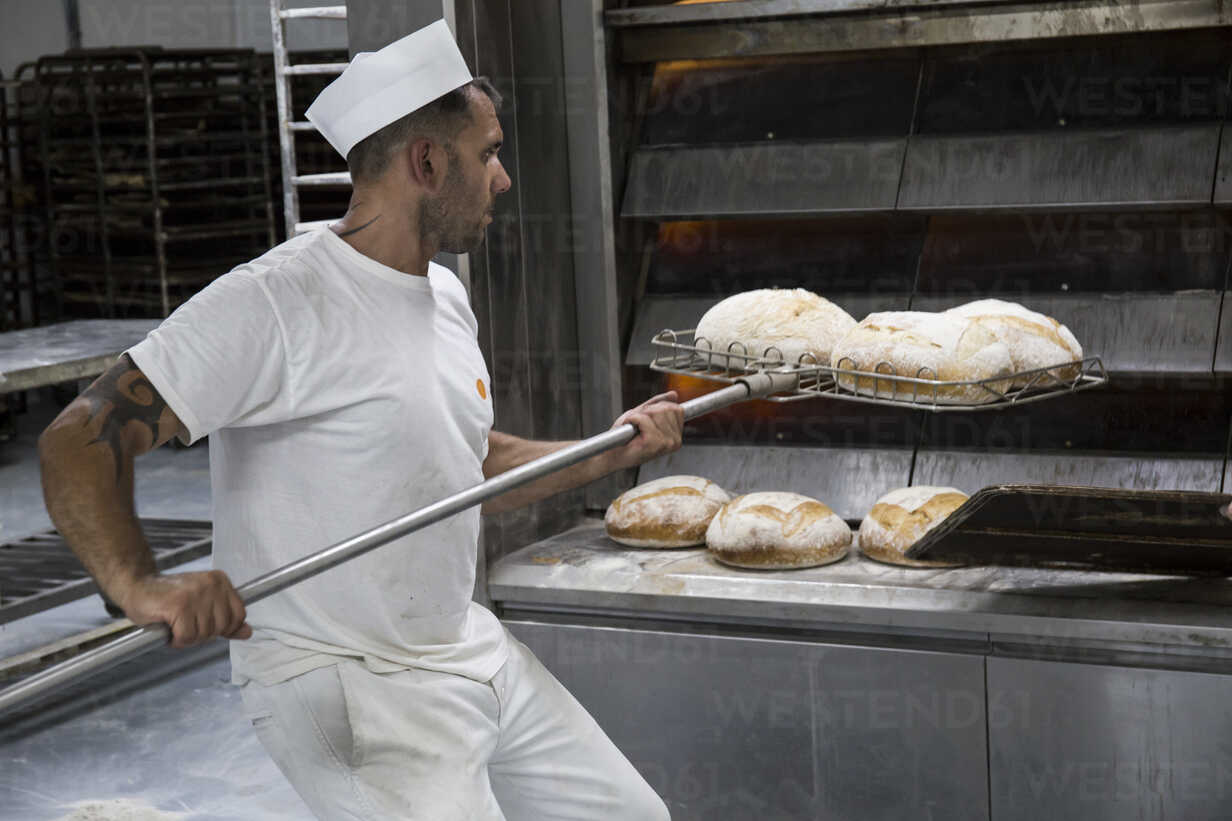 https://us.images.westend61.de/0000736981pw/baker-taking-out-freshly-baked-bread-from-the-oven-of-a-bakery-ABZF000907.jpg