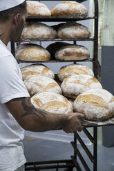 Bäcker legt ein Tablett mit Brot in einer Bäckerei - ABZF000911