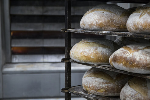 Tabletts mit Brot in einer Bäckerei - ABZF000912