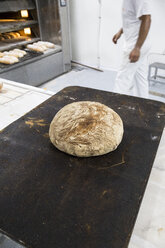 Frisch gebackene Brote auf einem Tablett in einer Großbäckerei - ABZF000918