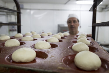 Teige in Hamburger Brotformen vor dem Backen in einer Bäckerei - ABZF000928