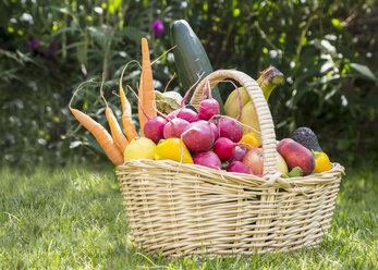 Basket with fruits and vegetables - SARF002835