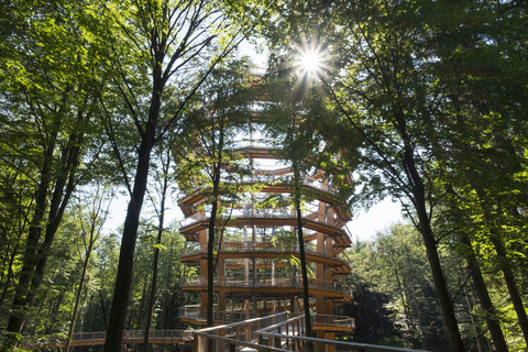 Germany, Upper Franconia, Ebrach, Viewing tower, canopy walk stock photo