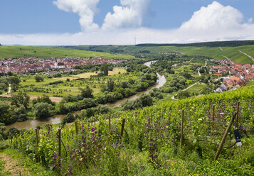 Escherndorf bei Vollkach, Nordheim am Main, Mainschleife - SIEF007077