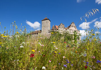 Deutschland, Bayern, Mittelfranken, Cadolzburg, Schloss und Blumenwiese - SIE007081