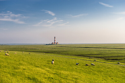 Deutschland, Nordfriesland, Westerheversand Leuchtturm mit Schafen auf Wiese - EGBF000142