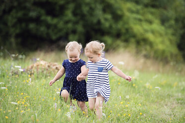 Zwei kleine Schwestern laufen Hand in Hand auf einer Wiese - HAPF000692