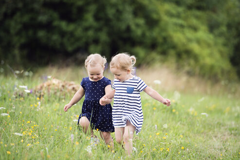 Two little sisters running hand in hand on a meadow - HAPF000692