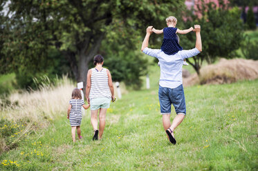 Back view of family with two children walking on a meadow - HAPF000700