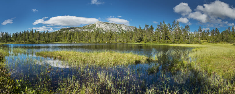 Norwegen, Südnorwegen, Telemark, Notodden, Litfjell - STSF001065