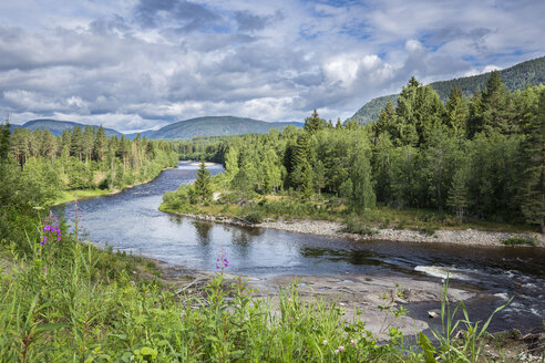 Norwegen, Südnorwegen, Telemark, Notodden, Heddal, Fluss Heddol - STSF001067