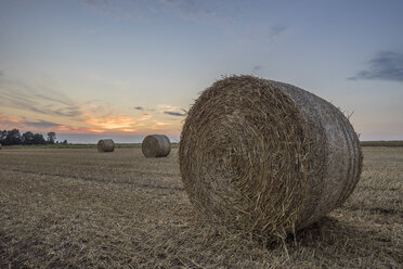 Deutschland, Niedersachsen, Strohballen auf einem Feld bei Sonnenuntergang - PVCF000884