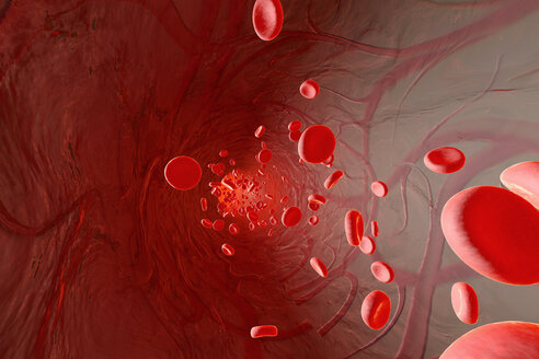 Erythrocyte cells flowing in an artery, 3D Rendering - SPCF000088