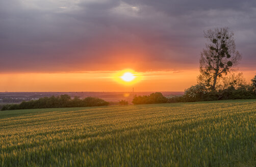 Deutschland, Niedersachsen, Erkerode, Elmvorland, Sonnenuntergang, Braunschweig im Hintergrund - PVCF000886