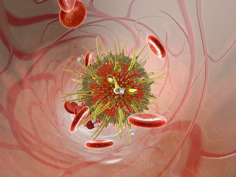 Virus in bloodstream, 3D Rendering stock photo