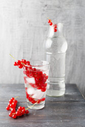 Wasser mit Eiswürfeln, roten Johannisbeeren, aromatisiert - MYF001735