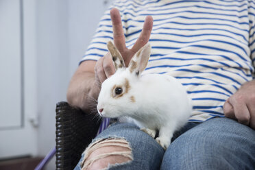 Rabbit on lap of owner - CHPF000260