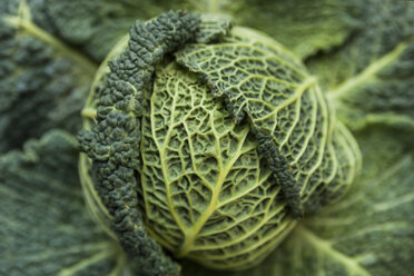 Savoy cabbage in a vegetable garden - TCF005074