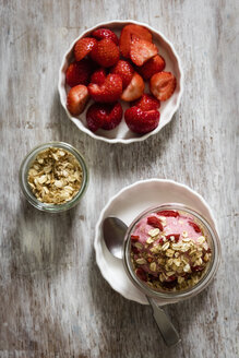 Gefrorener Joghurt mit Erdbeeren, Haferflocken als Topping - EVGF003058