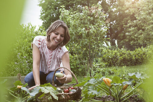 Smiling woman in garden harvesting vegetables - RBF004849