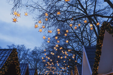 Germany, Christmas market with lighted Christmas stars hanging in the trees - GW004869