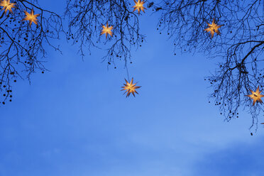 Lighted Christmas stars hanging in branches - GW004871