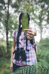 Woman's hand holding leaf of fern - DAPF000272