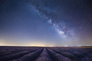 France, Provence, Lavender fields with milky way at night - EPF000132