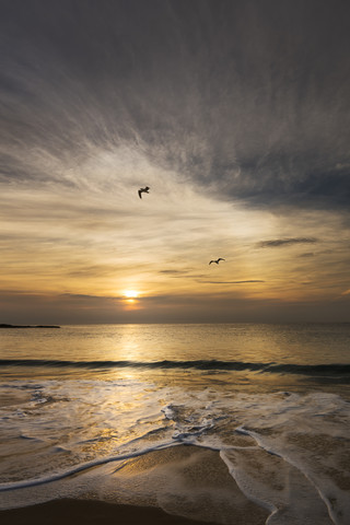 Australien, Coogee, Coogee Beach mit zwei Möwen und Abendsonne, lizenzfreies Stockfoto