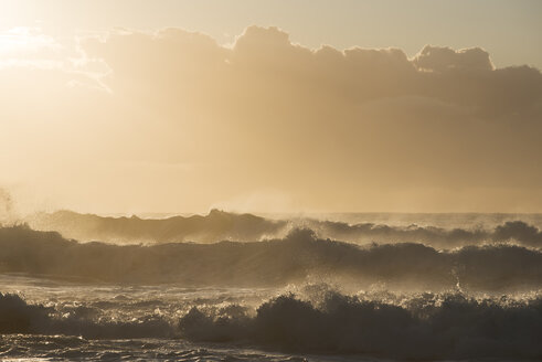 Australia, New South Wales, Tasman Sea at sunrise, waves - GOAF000005