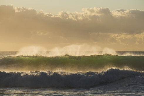 Australia, New South Wales, Tasman Sea at sunrise, waves - GOAF000006