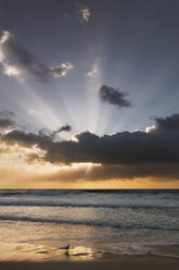 Australien, New South Wales, Strand bei Sonnenaufgang - GOAF000028