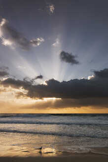 Australia, New South Wales, beach at sunrise - GOAF000028