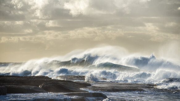 Australia, New South Wales, Sydney, Tasman Sea, waves, surf - GOAF000049