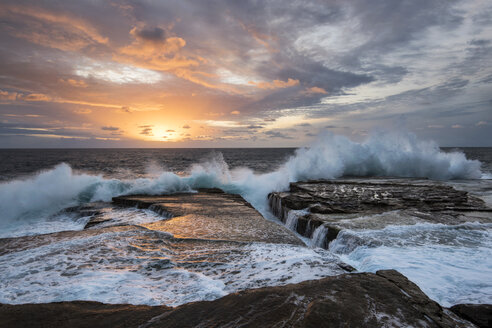 Australien, New South Wales, Clovelly, Shark Point am Abend - GOAF000051