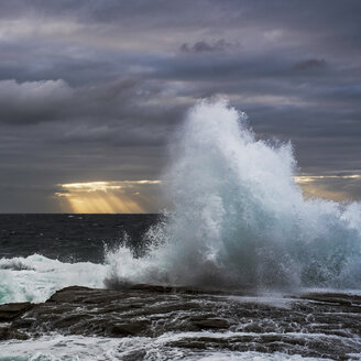 Australien, New South Wales, Clovelly, Shark Point am Abend - GOAF000063