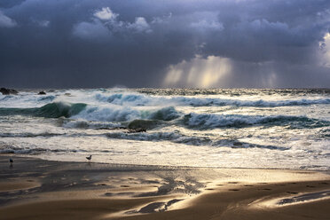 Australien, New South Wales, Maroubra, Strand am Abend - GOAF000069