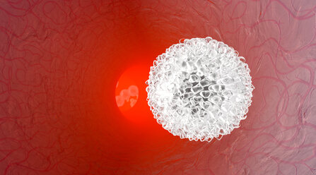 Leukozyten fließen in einem Blutgefäß, 3D Rendering - SPCF000100