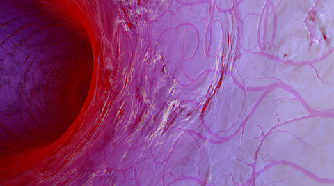 Blutgefäß, 3D-Rendering, lizenzfreies Stockfoto