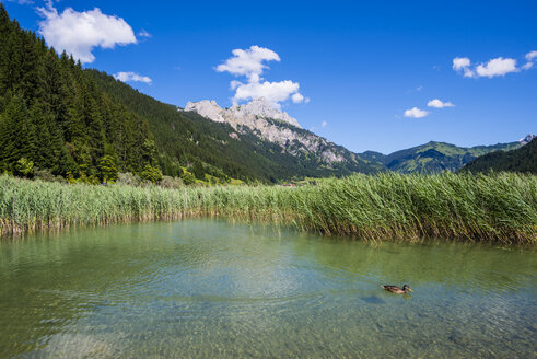 Österreich, Tirol, Tannheimer Tal, Haldensee - WGF000935