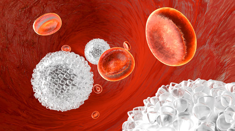 Erythrozyten und Leukozyten, die in einem Blutgefäß fließen, lizenzfreies Stockfoto