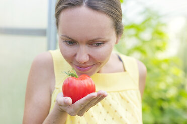 Frau riecht Tomate - KNTF000445