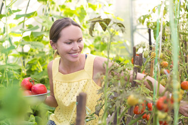 Lächelnde Frau bei der Tomatenernte in einem Gewächshaus - KNTF000448
