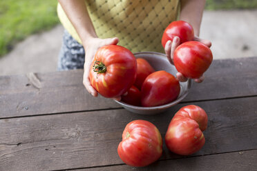 Hände einer Frau halten Tomaten - KNTF000453