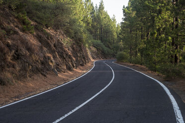 Spanien, Teneriffa, leere Straße, Wald - SIPF000780