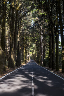 Spanien, Teneriffa, leere Straße, Wald - SIPF000782